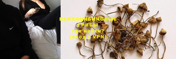 спайс Верея